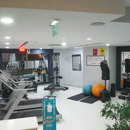 Troya Hotel Taksim 3*