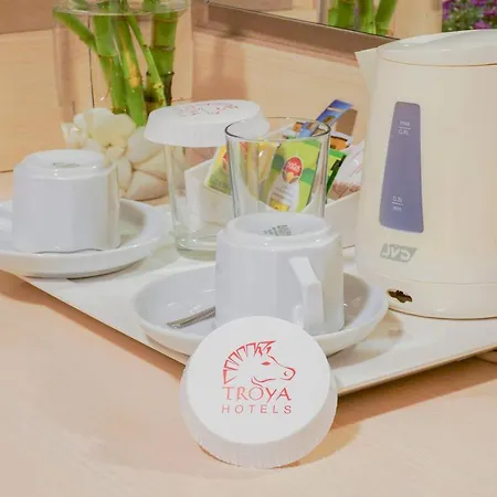 트로야 호텔 3*
