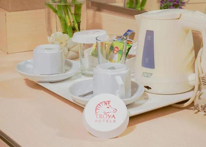 Troya Отель 3*